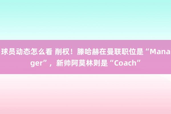 球员动态怎么看 削权！滕哈赫在曼联职位是“Manager”，新帅阿莫林则是“Coach”