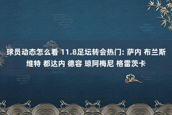 球员动态怎么看 11.8足坛转会热门: 萨内 布兰斯维特 都达内 德容 琼阿梅尼 格雷茨卡