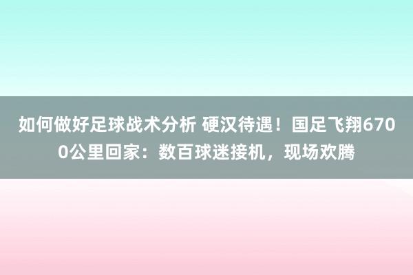 如何做好足球战术分析 硬汉待遇！国足飞翔6700公里回家：数百球迷接机，现场欢腾