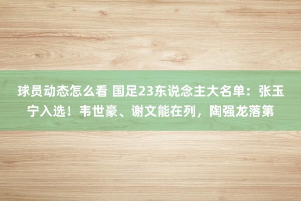 球员动态怎么看 国足23东说念主大名单：张玉宁入选！韦世豪、谢文能在列，陶强龙落第