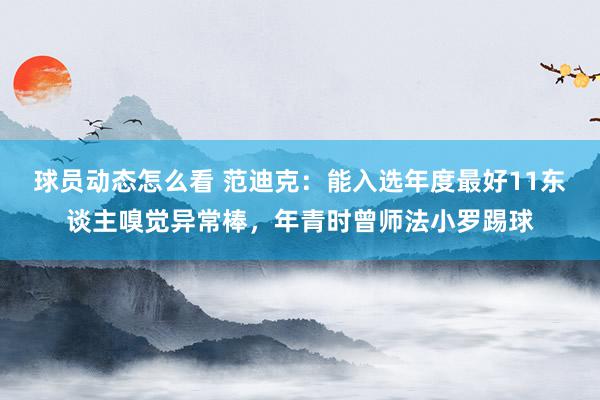 球员动态怎么看 范迪克：能入选年度最好11东谈主嗅觉异常棒，年青时曾师法小罗踢球