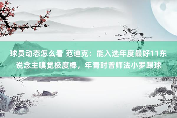 球员动态怎么看 范迪克：能入选年度最好11东说念主嗅觉极度棒，年青时曾师法小罗踢球