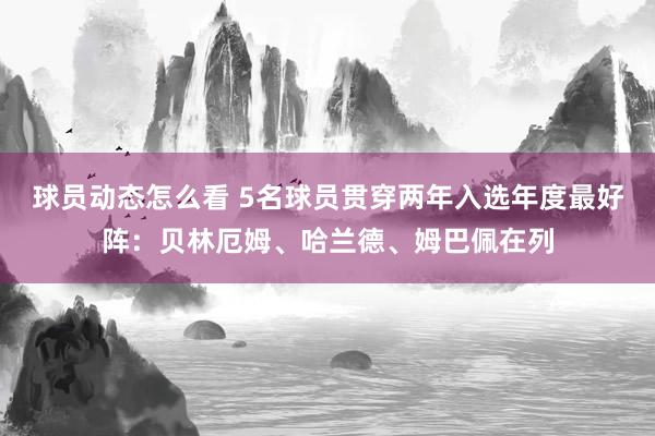 球员动态怎么看 5名球员贯穿两年入选年度最好阵：贝林厄姆、哈兰德、姆巴佩在列