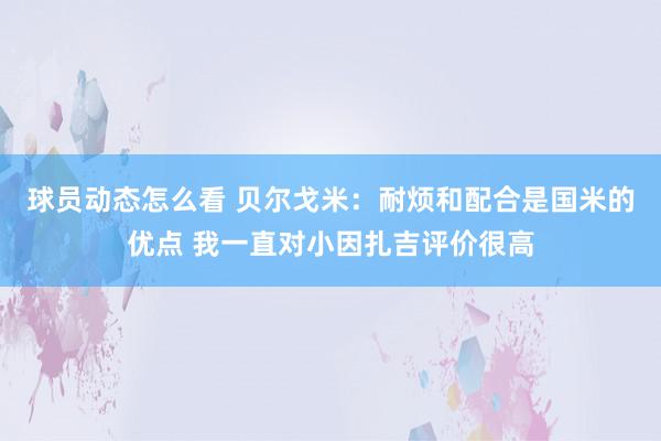 球员动态怎么看 贝尔戈米：耐烦和配合是国米的优点 我一直对小因扎吉评价很高