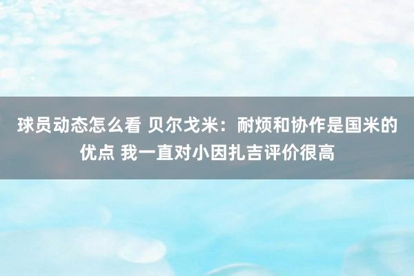 球员动态怎么看 贝尔戈米：耐烦和协作是国米的优点 我一直对小因扎吉评价很高