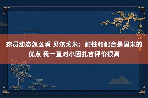 球员动态怎么看 贝尔戈米：耐性和配合是国米的优点 我一直对小因扎吉评价很高