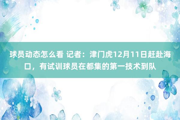 球员动态怎么看 记者：津门虎12月11日赶赴海口，有试训球员在都集的第一技术到队