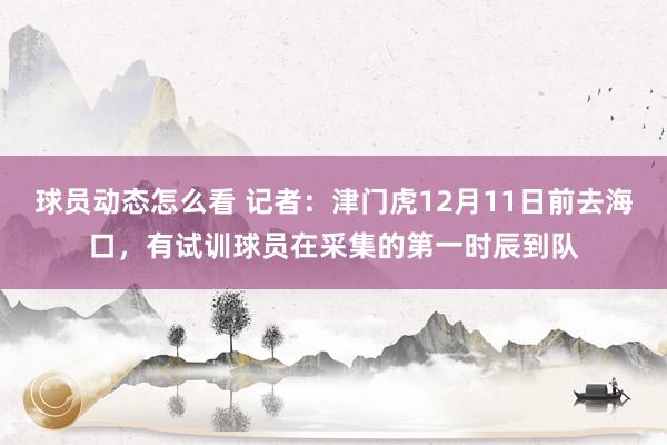 球员动态怎么看 记者：津门虎12月11日前去海口，有试训球员在采集的第一时辰到队