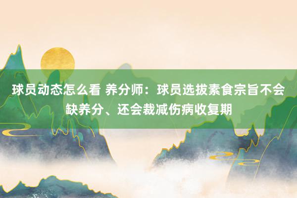 球员动态怎么看 养分师：球员选拔素食宗旨不会缺养分、还会裁减伤病收复期