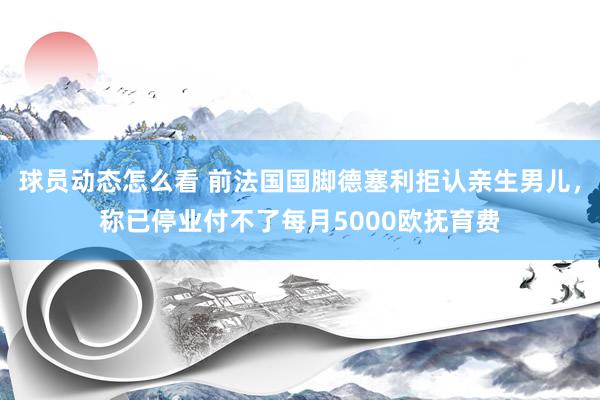 球员动态怎么看 前法国国脚德塞利拒认亲生男儿，称已停业付不了每月5000欧抚育费