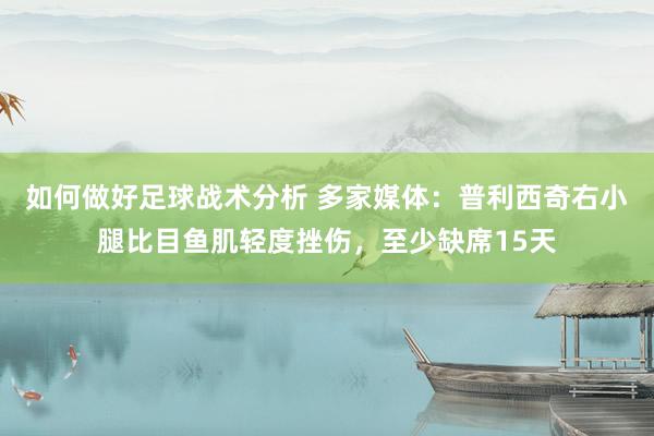 如何做好足球战术分析 多家媒体：普利西奇右小腿比目鱼肌轻度挫伤，至少缺席15天