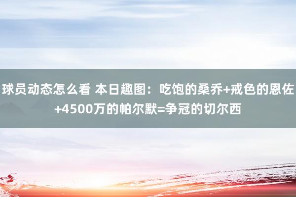 球员动态怎么看 本日趣图：吃饱的桑乔+戒色的恩佐+4500万的帕尔默=争冠的切尔西