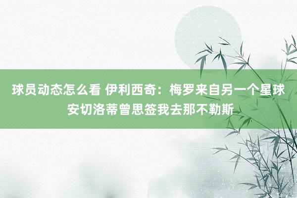 球员动态怎么看 伊利西奇：梅罗来自另一个星球 安切洛蒂曾思签我去那不勒斯