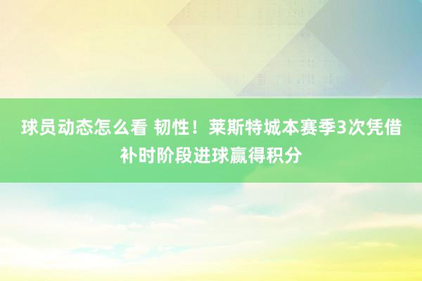 球员动态怎么看 韧性！莱斯特城本赛季3次凭借补时阶段进球赢得积分