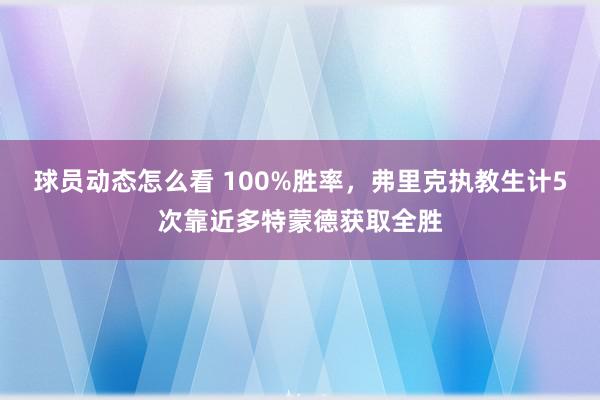 球员动态怎么看 100%胜率，弗里克执教生计5次靠近多特蒙德获取全胜