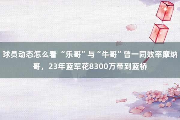 球员动态怎么看 “乐哥”与“牛哥”曾一同效率摩纳哥，23年蓝军花8300万带到蓝桥