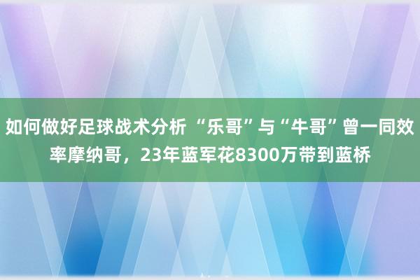 如何做好足球战术分析 “乐哥”与“牛哥”曾一同效率摩纳哥，23年蓝军花8300万带到蓝桥