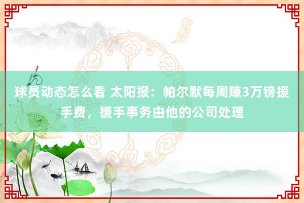 球员动态怎么看 太阳报：帕尔默每周赚3万镑援手费，援手事务由他的公司处理