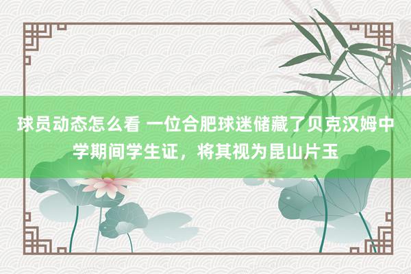 球员动态怎么看 一位合肥球迷储藏了贝克汉姆中学期间学生证，将其视为昆山片玉