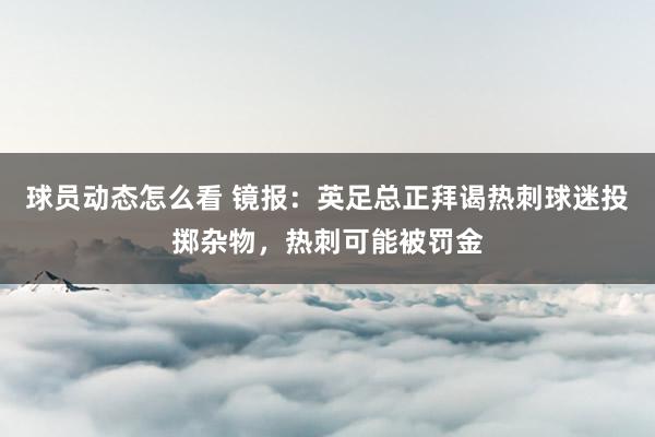 球员动态怎么看 镜报：英足总正拜谒热刺球迷投掷杂物，热刺可能被罚金