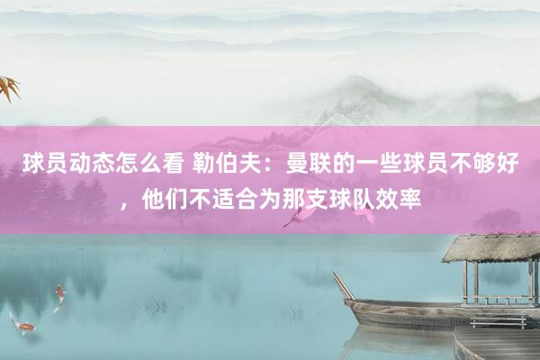 球员动态怎么看 勒伯夫：曼联的一些球员不够好，他们不适合为那支球队效率