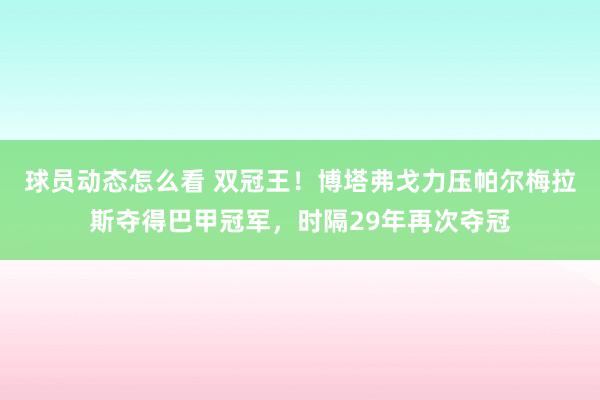 球员动态怎么看 双冠王！博塔弗戈力压帕尔梅拉斯夺得巴甲冠军，时隔29年再次夺冠