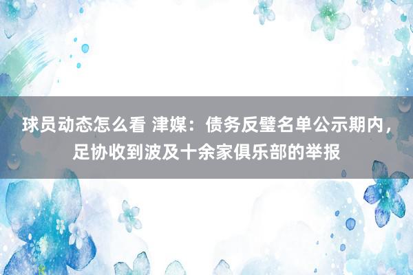 球员动态怎么看 津媒：债务反璧名单公示期内，足协收到波及十余家俱乐部的举报