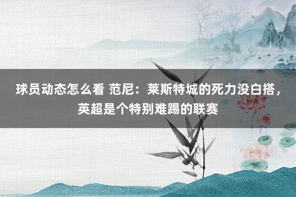 球员动态怎么看 范尼：莱斯特城的死力没白搭，英超是个特别难踢的联赛