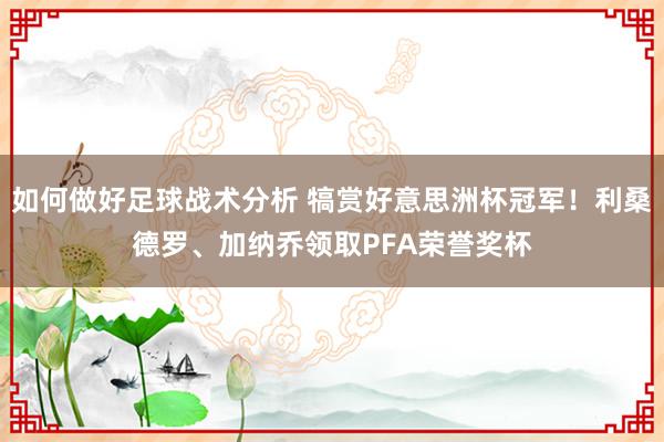 如何做好足球战术分析 犒赏好意思洲杯冠军！利桑德罗、加纳乔领取PFA荣誉奖杯