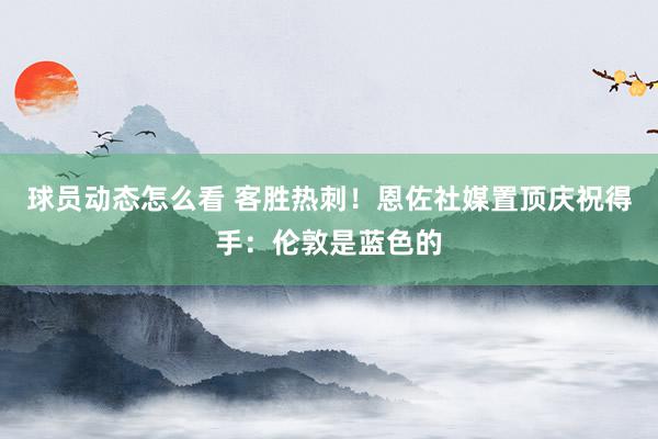 球员动态怎么看 客胜热刺！恩佐社媒置顶庆祝得手：伦敦是蓝色的