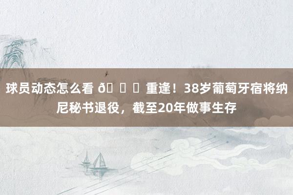 球员动态怎么看 👋重逢！38岁葡萄牙宿将纳尼秘书退役，截至20年做事生存