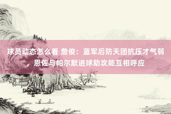 球员动态怎么看 詹俊：蓝军后防天团抗压才气弱，恩佐与帕尔默进球助攻能互相呼应