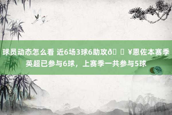 球员动态怎么看 近6场3球6助攻🔥恩佐本赛季英超已参与6球，上赛季一共参与5球