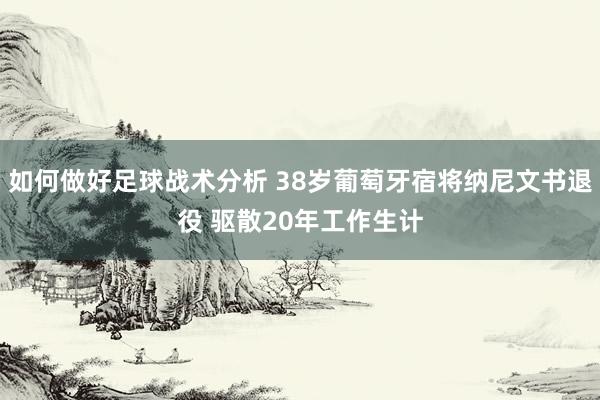 如何做好足球战术分析 38岁葡萄牙宿将纳尼文书退役 驱散20年工作生计