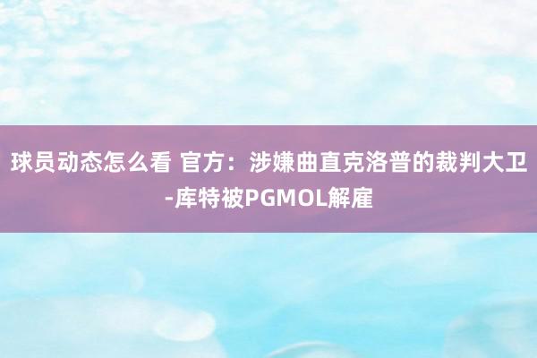 球员动态怎么看 官方：涉嫌曲直克洛普的裁判大卫-库特被PGMOL解雇