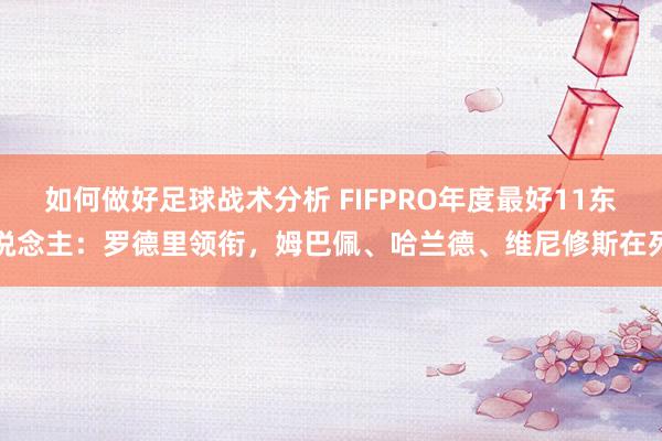 如何做好足球战术分析 FIFPRO年度最好11东说念主：罗德里领衔，姆巴佩、哈兰德、维尼修斯在列